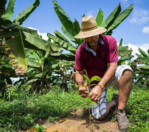 Mondelez aumenta la inversión en el programa Cocoa Life hasta los 1.000 M$