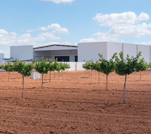 IberoPistacho se profesionaliza, abre planta y mira hacia un futuro como especialista