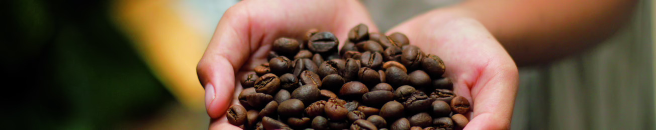 Informe 2022 del sector de café en España