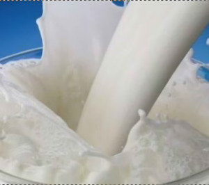 Pascual Innoventures invierte en De Novo Dairy y Zero Cow Factory y lanza la segunda edición de Mylkcubator
