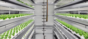 La inflación energética pone contra las cuerdas al gigante europeo de la agricultura vertical