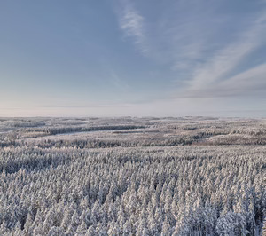 Metsä Board reconocida con la triple ‘A’ de CDP por su transparencia en sostenibilidad