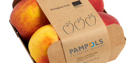 Energía verde y productos más sostenibles, prioridades para Pampols Packaging