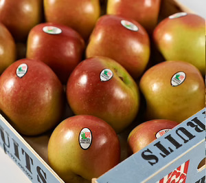 Girona Fruits apuesta por el autoconsumo y renueva maquinaria para potenciar los envases más sostenibles