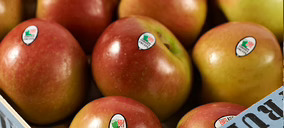 Girona Fruits apuesta por el autoconsumo y renueva maquinaria para potenciar los envases más sostenibles