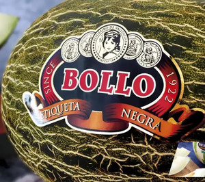 TNFC compra Bollo y se sitúa entre los diez primeros grupos hortofrutícolas de España