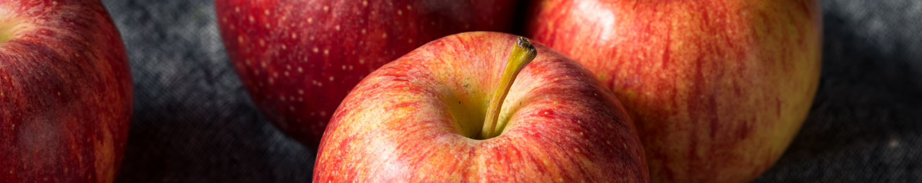 Informe 2023 del sector de manzana en España