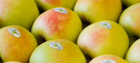 Fructícola Empordà inicia la ampliación de sus instalaciones