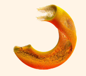 Equiplast tiene ya contratado el 90% de su espacio expositivo a falta de cinco meses