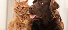 Laboratorios Bilper apuesta por Me Gusta en higiene y cosmética para mascotas