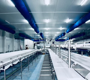 Cibex pone fecha al inicio de su actividad y ficha un director general