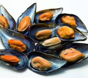 Blockchain para asegurar la calidad del Mejillón de Galicia