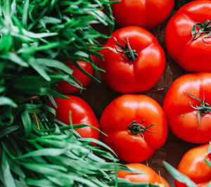 La exportación hortofrutícola retrocedió un 10% en 2022 y solo mejoró ligeramente el valor