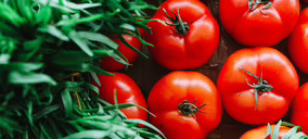 La exportación hortofrutícola retrocedió un 10% en 2022 y solo mejoró ligeramente el valor