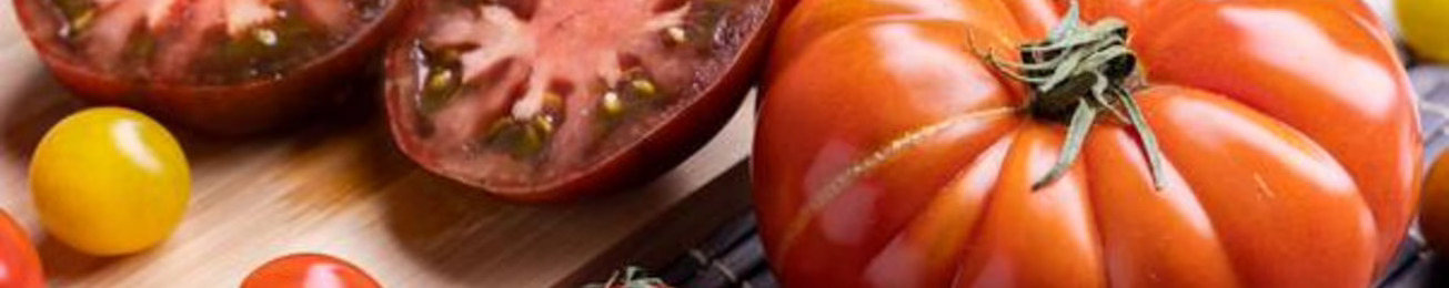 Las casas de semillas plantan cara al virus del rugoso del tomate