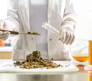 12 startups, cuatro continentes, la nueva cohorte de uno de los programas más potentes en proteínas alternativas