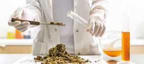 12 startups, cuatro continentes, la nueva cohorte de uno de los programas más potentes en proteínas alternativas