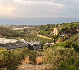Alta Alella anuncia una inversión de 2,5 M€ para la adquisición de viñedos