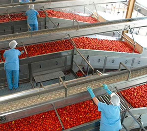 Pronat gana capacidad en transformación de tomate e instala una planta fotovoltaica