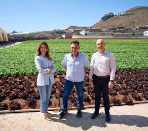 Dinosol destina 40 M a la compra de productos agrícolas cultivados en el archipiélago