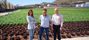Dinosol destina 40 M a la compra de productos agrícolas cultivados en el archipiélago