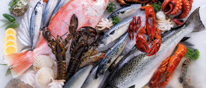 Informe 2023 del sector de pescado y marisco congelado