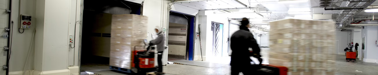 Informe 2023 del sector de logística y grupaje frigoríficos en España