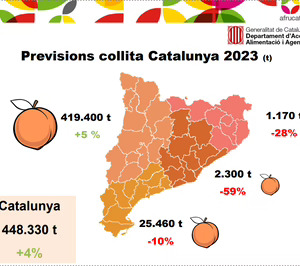 Cataluña incrementaría un 4% su potencial productivo en melocotones y nectarinas la próxima campaña