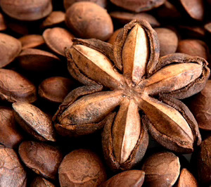 BeAmaz, la startup de impacto social que codesarrolla panes proteicos con Europastry