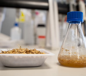 Itene trabaja en nuevos procesos para obtener biopolímeros a partir de residuos de piña, naranja y arroz