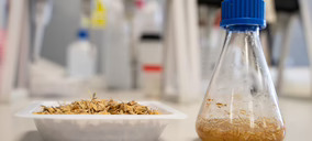 Itene trabaja en nuevos procesos para obtener biopolímeros a partir de residuos de piña, naranja y arroz