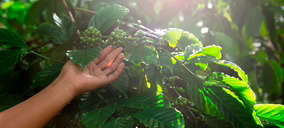 Nestlé y Grupo Bimbo se alían con The Yield Lab Latam para invertir en el foodtech latinoamericano