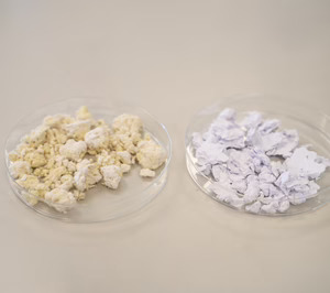 Itene logra un biopolímero de origen microbiano a partir de residuos de naranja