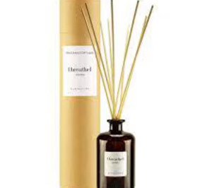 La profesionalización, clave en la mejora continua de Ambientair