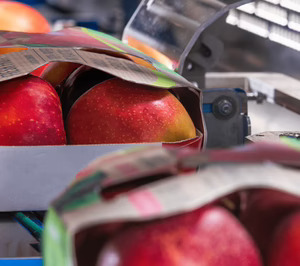 Bialca Solutions mejora sus ingresos y espera seguir creciendo en 2023