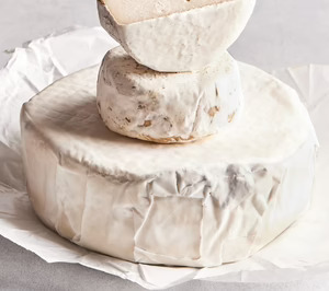 Climax Foods abre una nueva vía en quesos plant-based con la presentación de su alternativa vegetal a la caseína