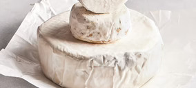 Climax Foods abre una nueva vía en quesos plant-based con la presentación de su alternativa vegetal a la caseína