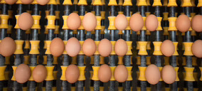 La proveedora Huevos Guillén crece otro 25% y proyecta inversiones de 36 M€ hasta 2024