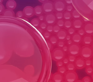 Forest Chemical abre su segunda planta productiva