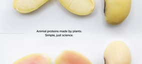 La startup de agricultura molecular Moolec presenta Piggy Sooy, la soja que produce proteína de cerdo