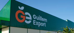 Guillem Export, controlada por Atitlan, y Frutas Tono anuncian su integración para alcanzar los 190 M€
