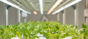 OnePointOne y la madrileña Vertical Green se unen para impulsar la agricultura vertical