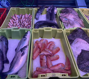 El sector de pescado y marisco congelado se mantiene muy activo, pese al menor consumo