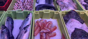 El sector de pescado y marisco congelado se mantiene muy activo, pese al menor consumo