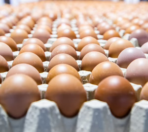 La inflación, gran aliada del mercado de huevos para sortear su baja rentabilidad