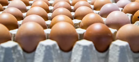 La inflación, gran aliada del mercado de huevos para sortear su baja rentabilidad