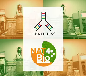 Nat4Bio, pionera en el uso de microorganismos para recubrimientos comestibles que alargan la vida útil de los cítricos
