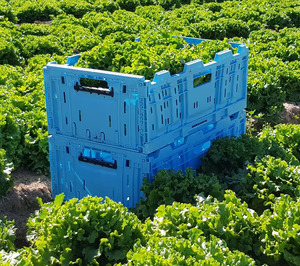 Eisberg se alían con Tosca para garantizarse un suministro de embalaje sostenible