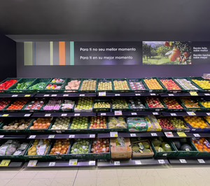Vegalsa encara el final de año con aperturas de supermercados de gran formato