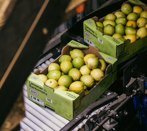 Limonar de Santomera quiere ser más visible en el mercado con una clara apuesta por el producto Bío